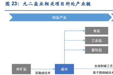 盐化工属于什么产业