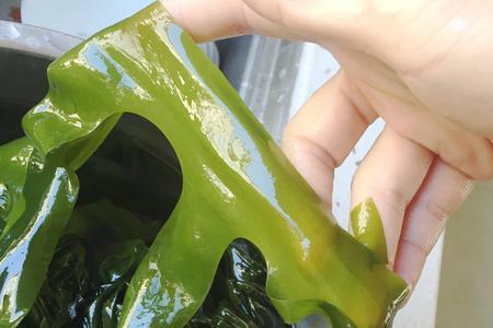 盐焗裙带菜怎么做好吃