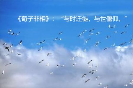 形容跟风随大流的成语