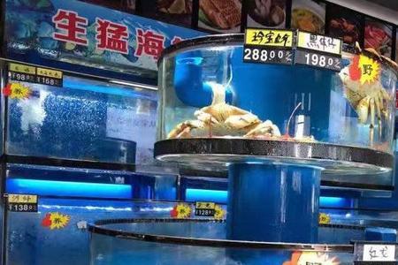 海鲜店怎么在大鱼缸里养河蟹