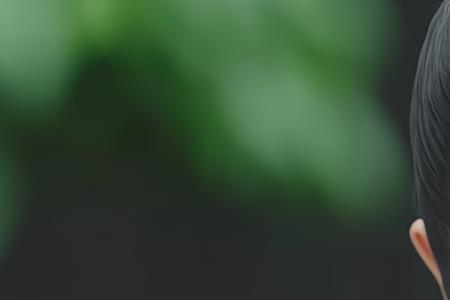 姚小雨和安然的结局