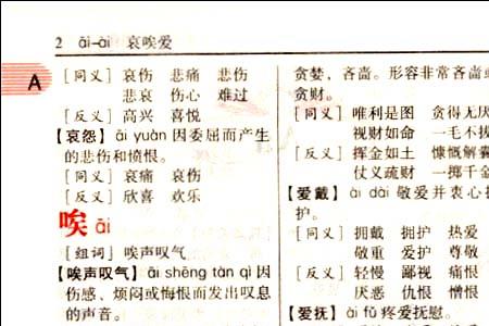 充满意义近义词