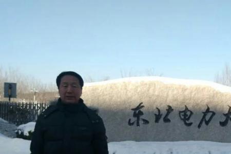 东北电力大学其它系能进电网吗