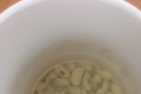 黄豆刚刚发芽之后该怎么办