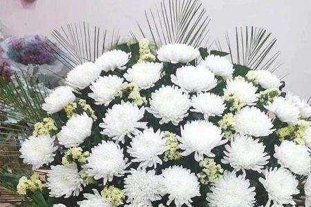 14朵黄白菊花束的寓意