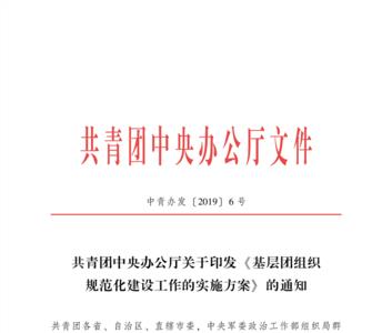 团总支工作规范