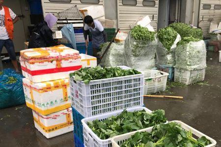 收购蔬菜市场需要什么手续