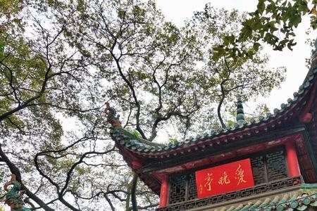 长沙像什么