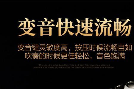 12孔半音阶口琴c调好学吗