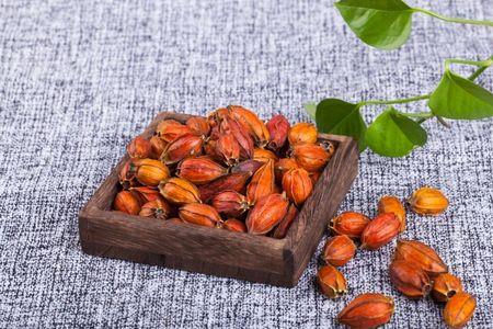 栀子油能炒菜用吗