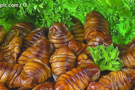 金丝蝉蛹解冻吗