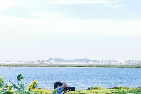 泉州滨海公园花开时间
