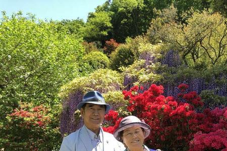 带崔字的花