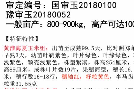 豫龙618玉米品种