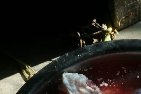 羊油需要焯水吗