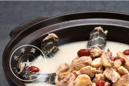 鳝可以和鸽子一起煮汤