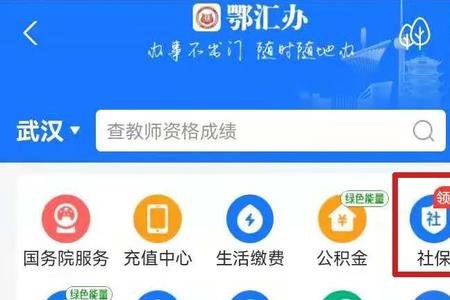12333可以注销新农保吗