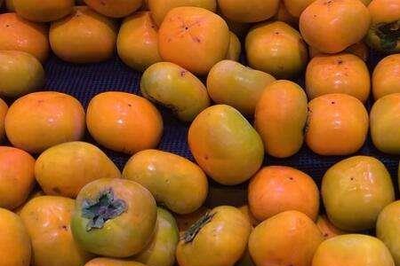 青柿子摘下能晒熟吗
