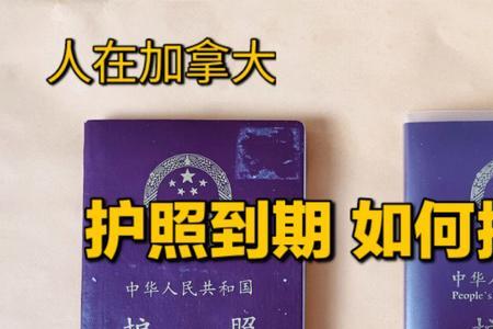 东莞护照到期如何更换