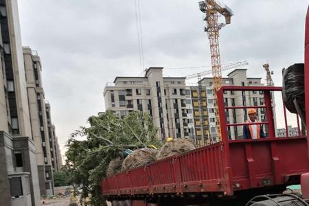 半挂司机工作怎么样