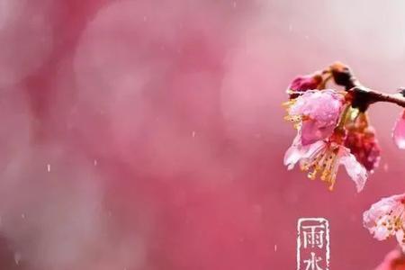 2022年济南夏天雨水会多吗