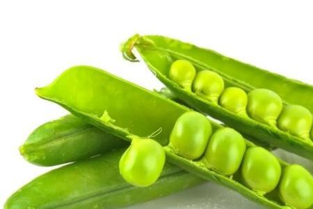 监利豌豆花怎么炒