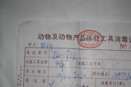 给猫办检疫证明去什么地方