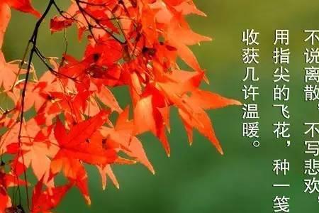 安然出自哪首诗