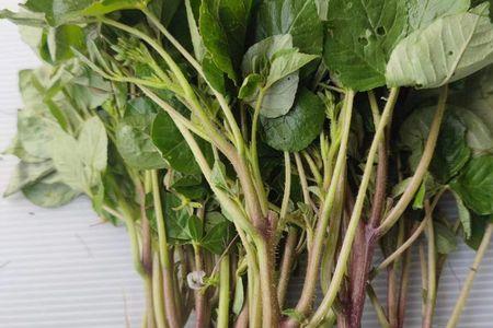 腌咸菜怎么腌不长白花