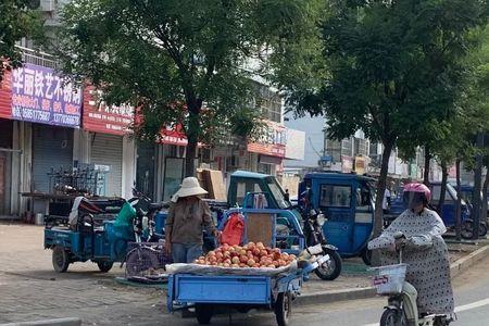 影响市容是什么意思