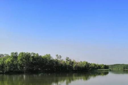 齐河湿地公园开放时间