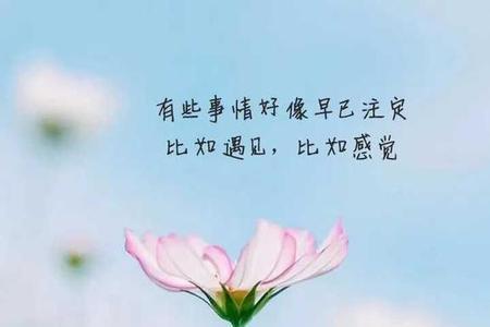 祝你安好是什么意思