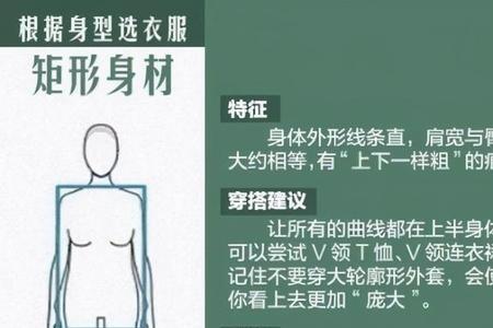 肩膀宽属于什么身材