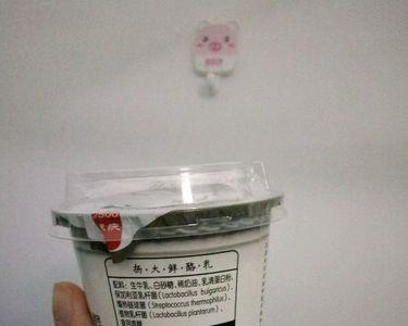 扬大酸奶只有扬州大学有吗