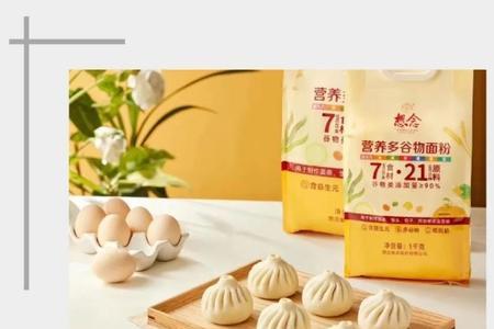 思念是上市公司吗