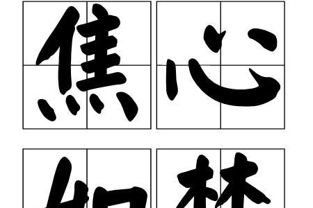 有所忧虑是成语吗