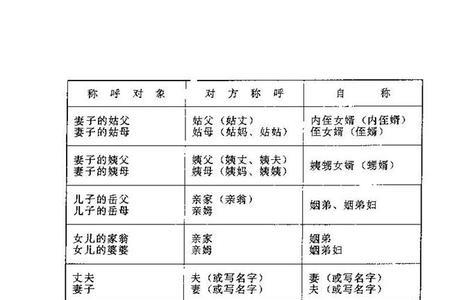 表婶的另一种称呼