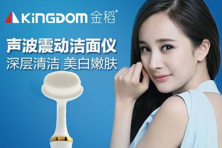 金稻这个牌子怎么样