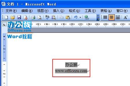 word输入手机号码需要文本格式吗