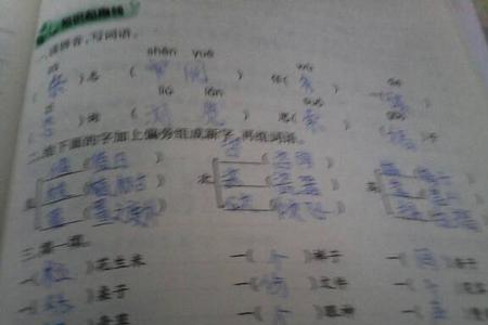 秧有什么组词