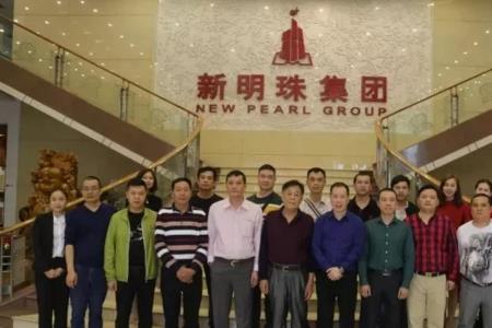 广东新明珠集团总共几个品牌