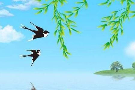 燕子没有往南飞怎么回事