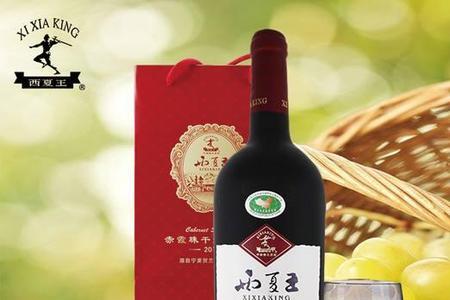 宁夏恒生西夏王酒业公司怎么样