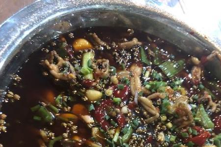 水煮青蛙需要多长时间