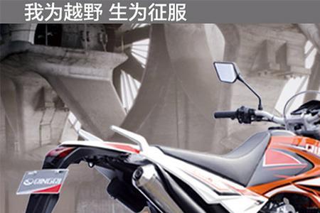轻骑藏獒250身高要求是多少