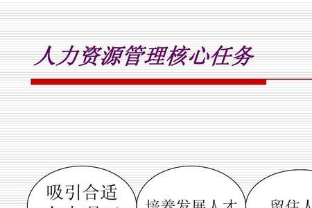 企业管理的任务有哪些