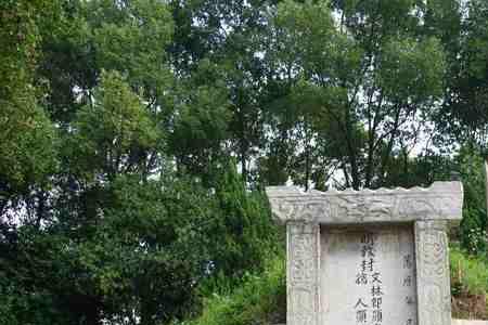 李时珍开棺救母子第几集