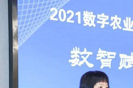 浙江数智交院是私有企业吗