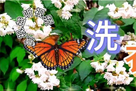 悠扬悦耳什么意思