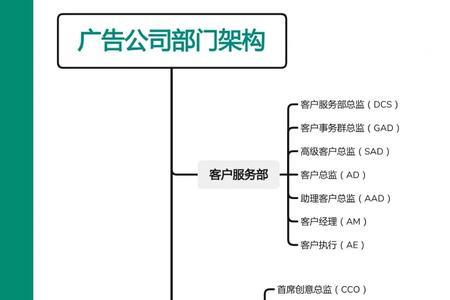 广告投放属于什么职位